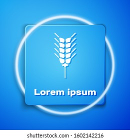 White Cereals set with rice, wheat, corn, oats, rye, barley icon isolated on blue background. Ears of wheat bread symbols. Blue square button. Vector Illustration