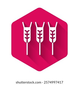 White Cereals set with rice, wheat, corn, oats, rye, barley icon isolated with long shadow. Ears of wheat bread symbols. Pink hexagon button. Vector