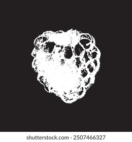 White chalk drawing of Raspberry on black background. Raspberries sign illustration in vector with natural chalk texture. Monochrome Blackberry icon, berry sketch, and Mulberry doodle design.