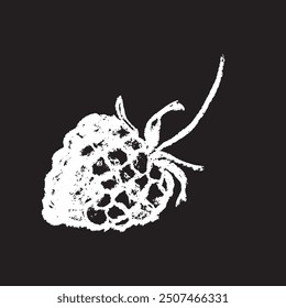 Dibujo de tiza blanca de frambuesa sobre fondo negro. Ilustración de signo de frambuesas en Vector con textura de tiza natural. Icono de Blackberry monocromo, boceto de bayas y diseño de doodle de Mulberry.