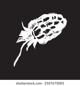 White chalk drawing of Raspberry on black background. Raspberries sign illustration in vector with natural chalk texture. Monochrome Blackberry icon, berry sketch, and Mulberry doodle design.