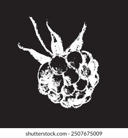 White chalk drawing of Raspberry on black background. Raspberries sign illustration in vector with natural chalk texture. Monochrome Blackberry icon, berry sketch, and Mulberry doodle design.