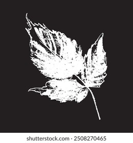 Desenho de giz branco de framboesa em fundo preto. Framboesas ilustração de sinal em vetor com textura de giz natural. Ícone de Blackberry monocromático, esboço de baga e design de doodle de Mulberry.