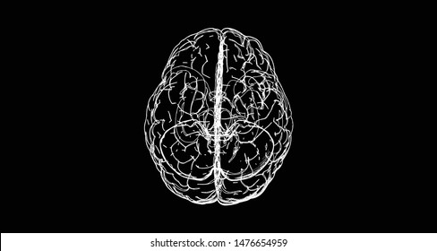 White chalk human brain on top view vector line edge doodle drawing isolated on black board style BG