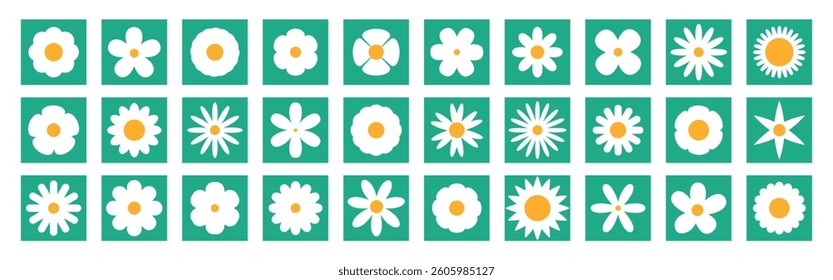 White chamomile daisy big set. Cute round flowers in square icons. Growing concept. Collection of round shaped flowers. Green background.  Love card. Flat design. Vector illustration.