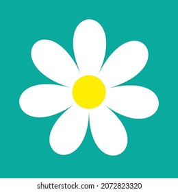White chamomile daisy flower round icon. Camomile petal. Cute plant collection. Love card. Growing concept. Happy Valentines Day decoration. Flat design. Dark blue background. Isolated. Vector