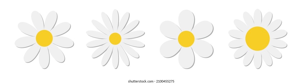 White chamomile daisy flower round icon set. Camomile petal line. Cute plant collection. Growing concept. Happy Valentines Day decoration. Love card. Flat design. Nature background. Isolated. Vector