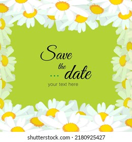 White chamomile or daisy flowers frame on green background. Spring flowers frame composition. Bright spring background design. Vector resizable illustration.