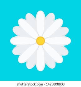 White Chamomile flat on a blue background. Flat vector illustration.