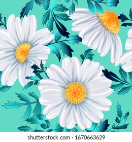 White chamomile flower close up on sky blue background. Vector floral seamless pattern.