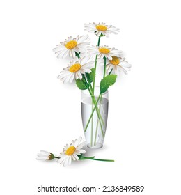 White chamomile flowers in a clear glass vase for room decor project, isolated on white background. Vector illustration for interior design, flower shop advertising, other.