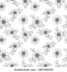 Flores de camomila blanca aisladas en un fondo blanco. Patrón sin brillo, ilustración de línea dibujada a mano.