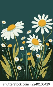 white chamomile flowers nature background illustration for invitation and greetings card