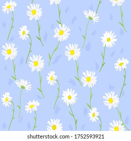 White chamomile flowers on blue background, medicinal plant. Hand drawn seamless pattern.