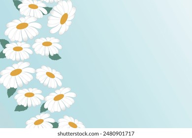 Flores de manzanilla blanca. Fondo de primavera con flores de manzanilla blanca delicadas lindas. Marco de margarita de flores Pequeñas, arreglo floral de Vector.