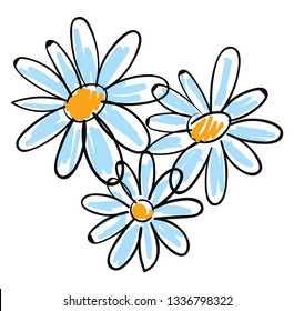 White chamomile flowers vector illustration on white background.