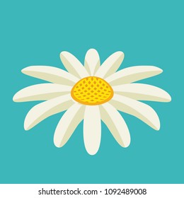 White chamomile on blue background. Vector icon in flat style. Daisy flower bright illustration.