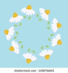  white chamomile on blue background.