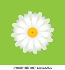 White chamomile with petals of different sizes. Single Daisy flower, geometric pattern on a green background, icon, vector.