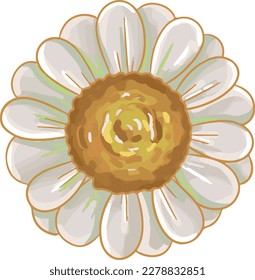 White Chamomile Vector Flower Illustration