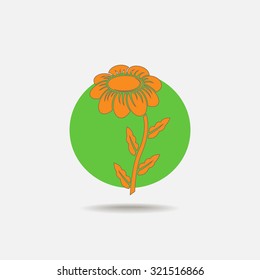 White Chamomile vector icon