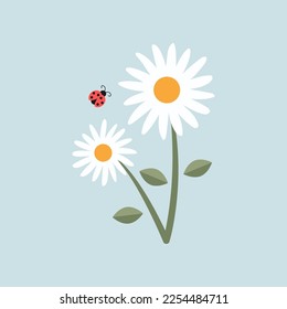 White chamomiles and flying ladybug cartoon illustration. Insect collecting nectar or pollinating daisy flowers on blue background. Spring, meadow, nature concept