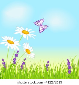 White chamomiles on grass with lavender and butterfly