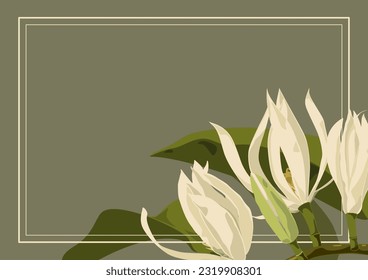 White Champaca background, line frame,Magnolia × alba , troppical flower