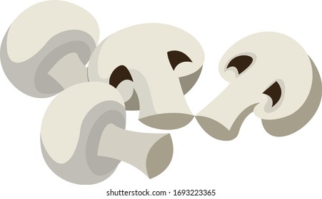 White champignon, illustration, vector on white background