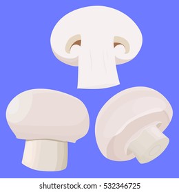 White champignon mushrooms isolated on blue