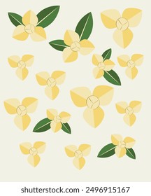 White cheesewood, Melodorum fruticosum Lour. Tropical flower, Fragrant flowers. yello or golden flowers design for designers. botanical illustration and illustration isolated on white background.