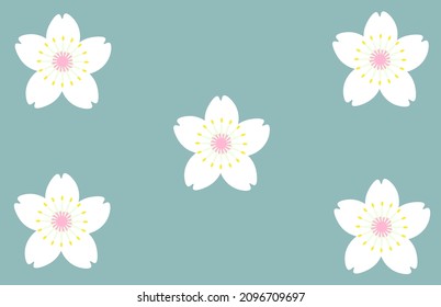 White cherry blossom petal on pastel blue background.