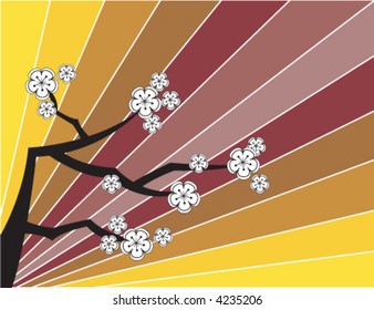 white cherry blossoms on retro stripes (vector) - illustrated background