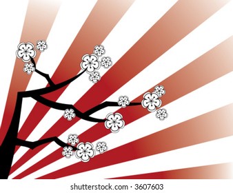 flor de cerezo blanco brillo de sol rojo (vector) - fondo artístico ilustrado