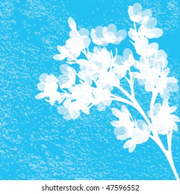 White cherry branch on blue background with grunge