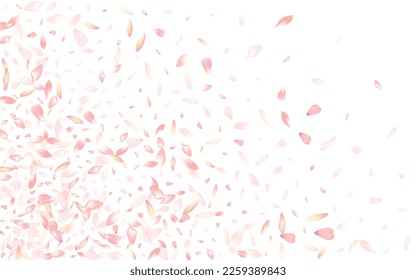 White Cherry Petal Vector White Background. Pastel Realistic Sakura Petal Frame. Peach Petal Springtime Cover. Fall Flower Petal Congratulation.