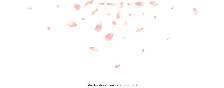 Weißer Kirschtort, weißer Hintergrund. Farbfall-Lotus-Petalhintergrund. Sakura Petal Bright Illustration. 3d Blumenmuster.