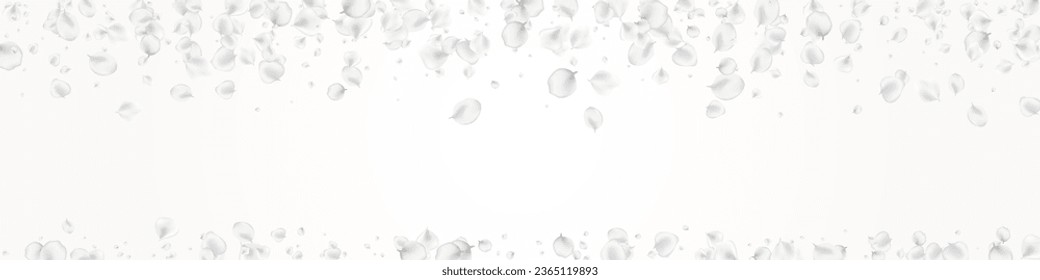 White Cherry Vector Light Panoramic Background. Delicate Flying Lotus Frame. Fall Peach Texture. Snowy Petal Fly Backdrop.