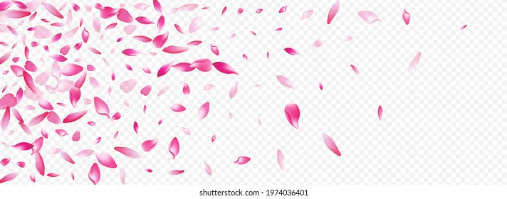 White Cherry Vector Panoramic Transparent Background. Flower Invitation Design. Rosa Japanese Template. Leaf Wallpaper Texture. Color Petal Spa Congratulation.