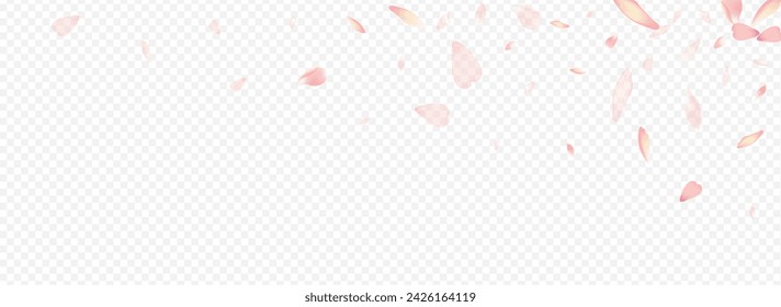 White Cherry Vector Panoramic Transparent Background. Floral Beauty Illustration. Leaf Realistic Cover. Confetti Spa Template. Pink Sakura Wallpaper Pattern.