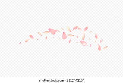 White Cherry Vector Transparent Background. Peach Beauty Poster. Heart Fresh Congratulation. Blooming Spring Pattern. Light Blossom Blur Card.