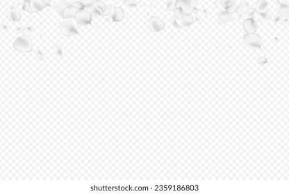 White Cherry Vector Transparent Background. Delicate Japan Rose Template. Beauty Floral Frame. Gray Blossom Japanese Banner.