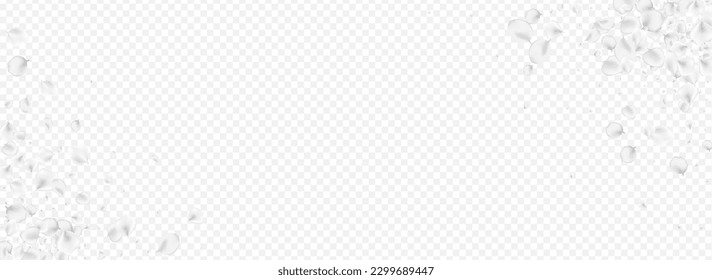White Cherry Vector Transparent Panoramic Background. Snowy Fall Flower Illustration. Japan Sakura Texture. Pastel Rose Summer Poster.