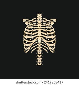 White chest bone. T-shirt print for Horror or Halloween. Hand drawing illustration isolated on black background