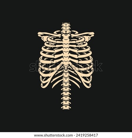 White chest bone. T-shirt print for Horror or Halloween. Hand drawing illustration isolated on black background