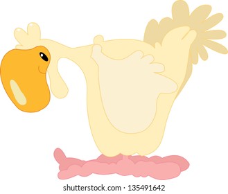 White chicken