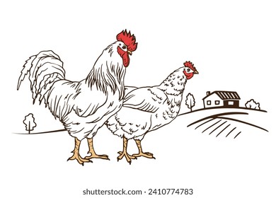 pollo y gallo blancos, gallo en el paisaje. Un pájaro decorativo que enlaza el estilo de doodle. Logo de animales de granja. Ilustración vectorial de un paquete de productos avícolas, ilustración del libro, afiche