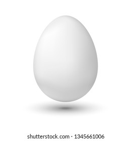 White chicken egg on white background