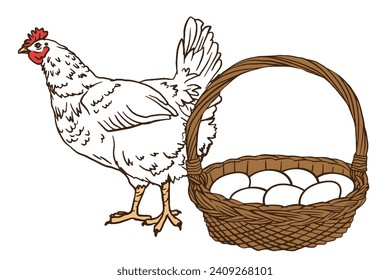 white chicken and eggs basket. Decorative bird hen engrave doodle style. Farm animal logo. Vector Agriculture illustration of a poultry for farming products package, book illustration, poster