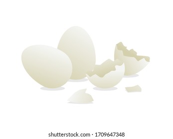 White chicken eggs and eggshell isolated on white background. Natural and healthy food ingredient vector illustration. Morning breakfast cooking concept. Traditional farming and eggs production